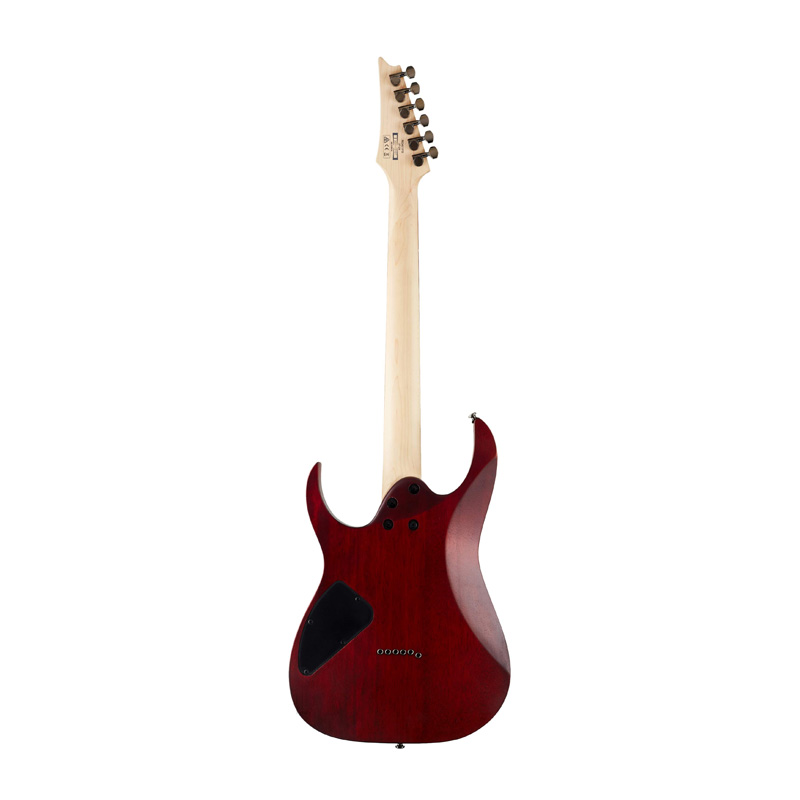 گیتار الکتریک آیبانز Ibanez RG421PB CHF