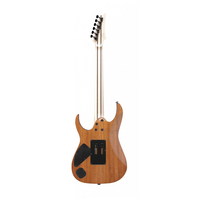گیتار الکتریک آیبانز Ibanez RGR5220M TFG