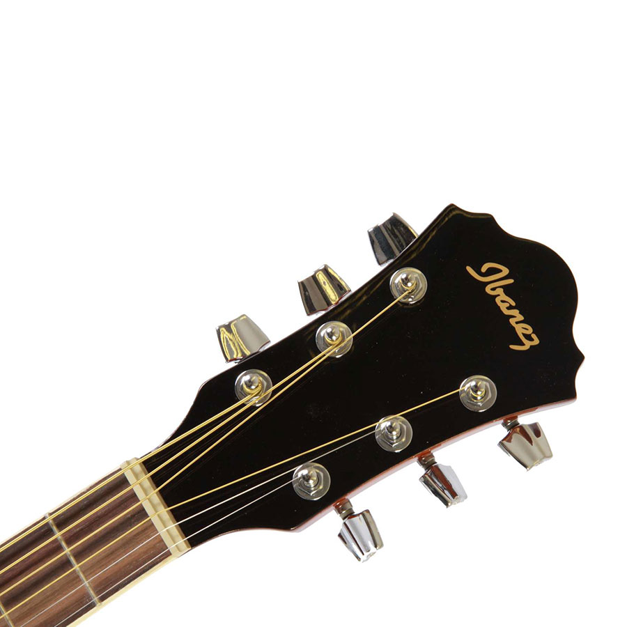 گیتار آکوستیک آیبانز IBANEZ SGT120E HS