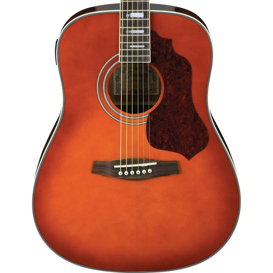گیتار آکوستیک آیبانز IBANEZ SGT120E HS