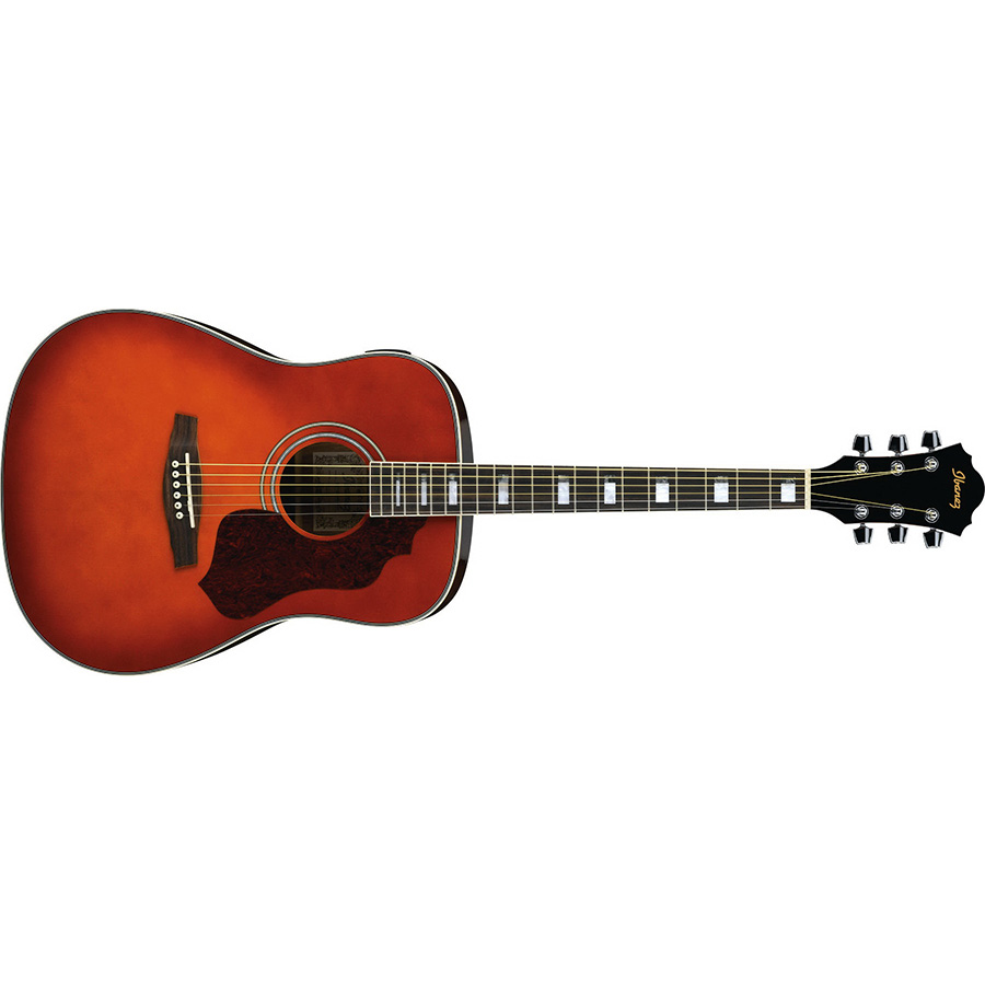 گیتار آکوستیک آیبانز IBANEZ SGT120E HS