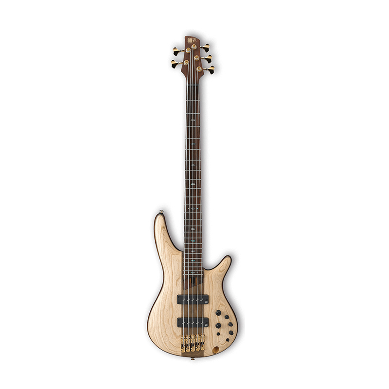قیمت خرید فروش گیتار بیس آیبانز IBANEZ SR1305-NTF