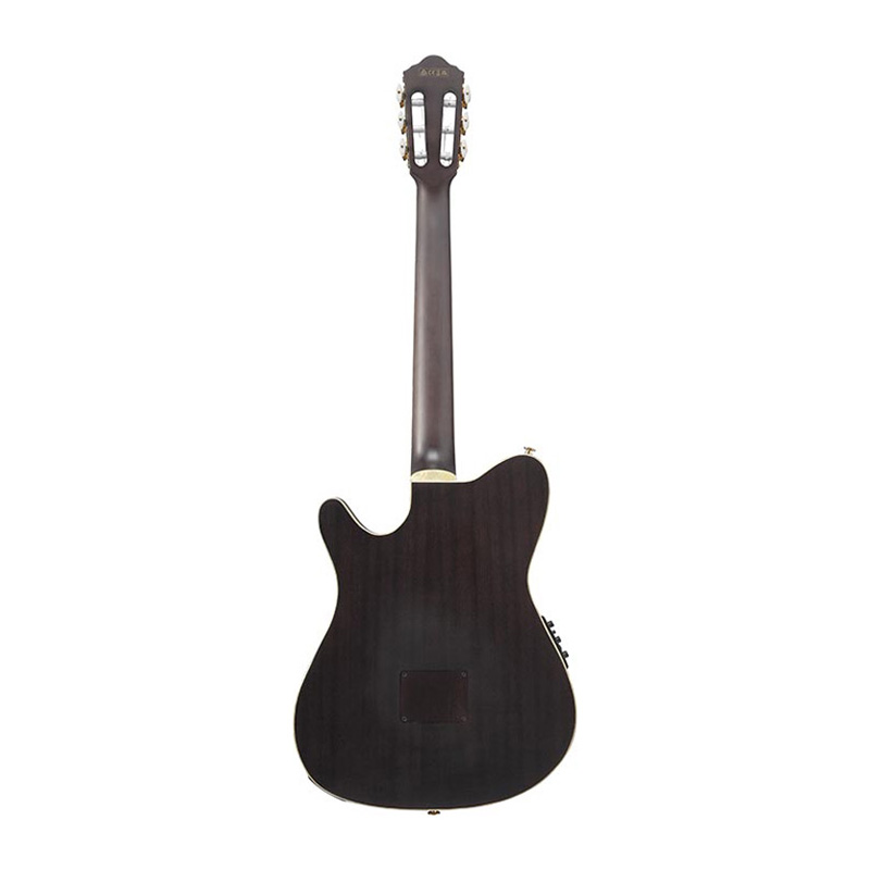 گیتار کلاسیک آیبانز Ibanez TOD10N TKF