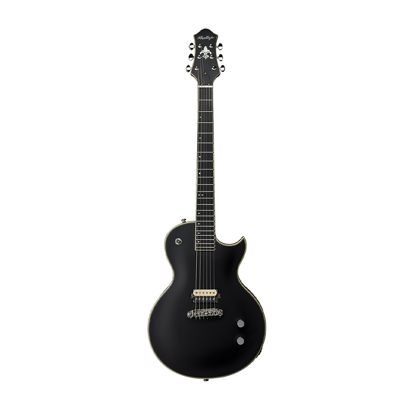 قیمت خرید فروش گیتار الکتریک پرستیژ Prestige Troubadour RS