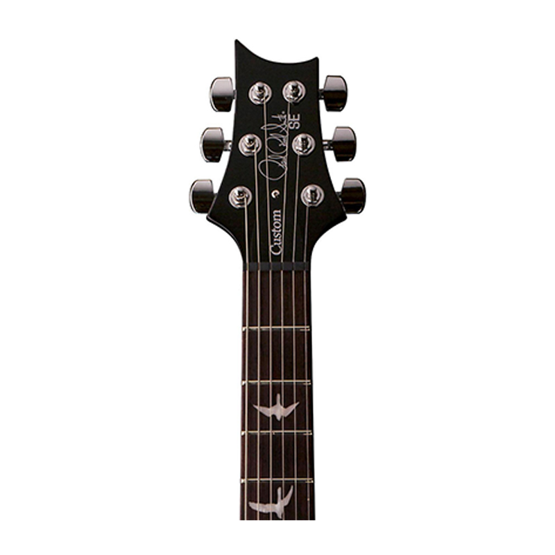 گیتار الکتریک پی آر اس PRS SE Custom 22 whale Blue 2017