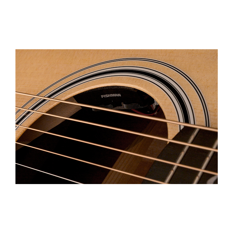 گیتار آکوستیک پی آر اس PRS SE Tonare TX20E