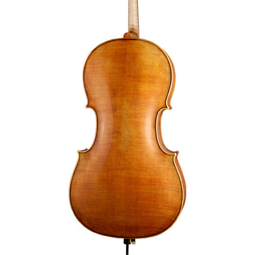 ویولن | ویولون سل رودریچ Roderich Paesold PA602C