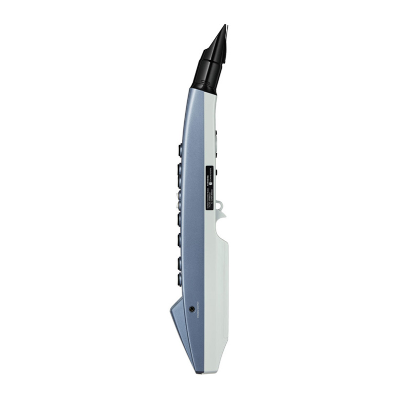 ساز دهنی رولند Roland AE 01 Aerophone Mini