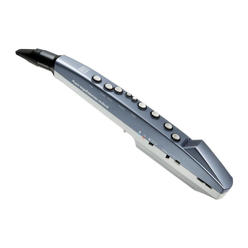 ساز دهنی رولند Roland AE 01 Aerophone Mini