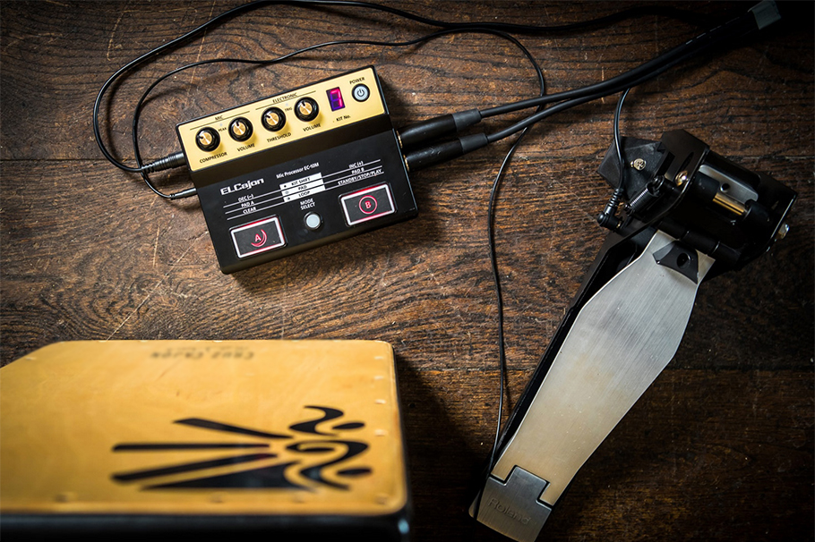 Roland EC-10M ELCajon Mic Prossecor