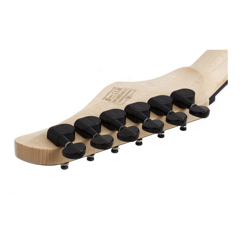 گیتار الکتریک شکتر Schecter C 6 FR Pro Charcoal Burst