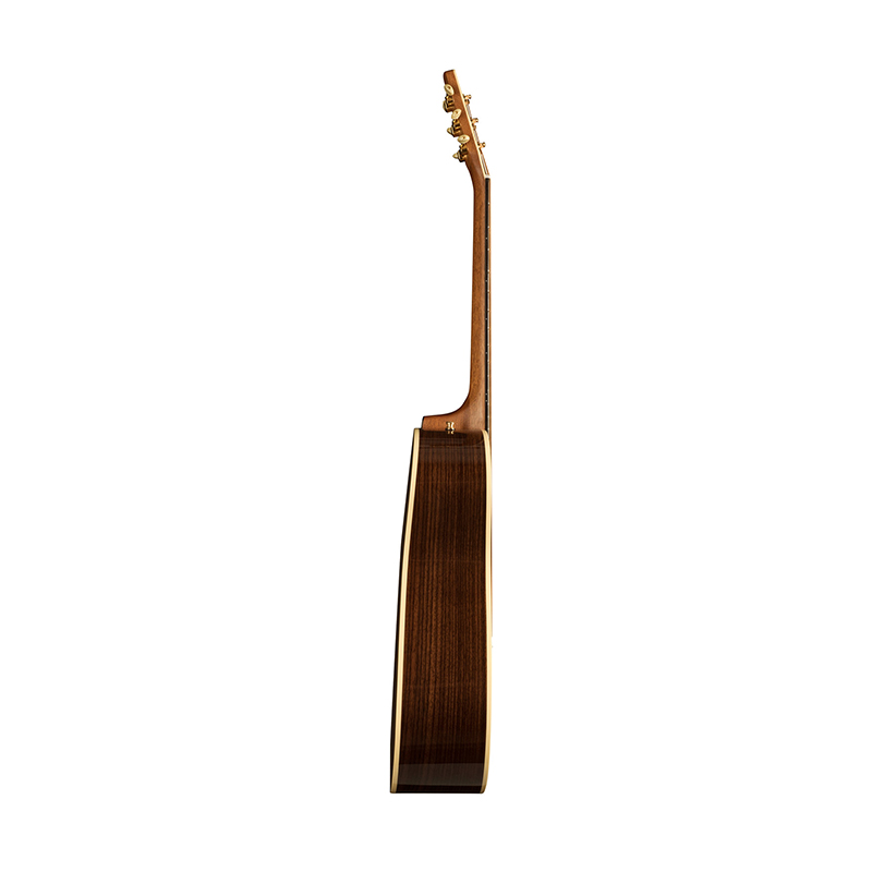 گیتار آکوستیک سیگال Seagull Artist Studio CW Element