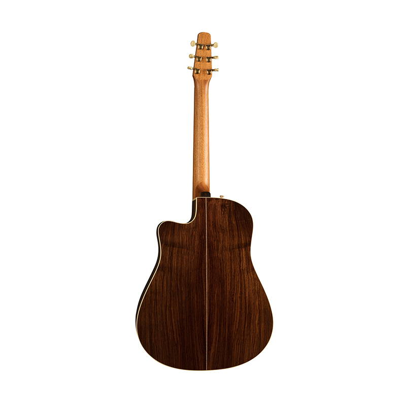 گیتار آکوستیک سیگال Seagull Artist Studio CW Element