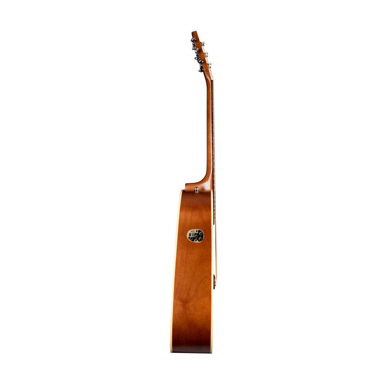 گیتار آکوستیک سیگال Seagull Entourage Rustic CW QI