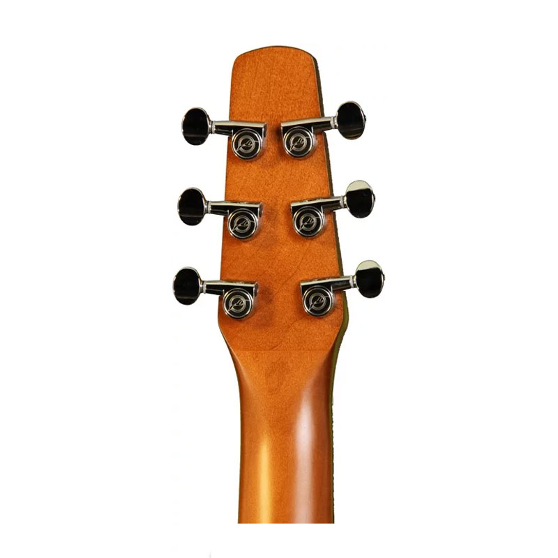 گیتار آکوستیک سیگال Seagull Entourage Rustic CW QI