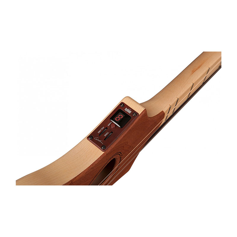 گیتار آکوستیک سیگال Seagull M4 Merlin EQ