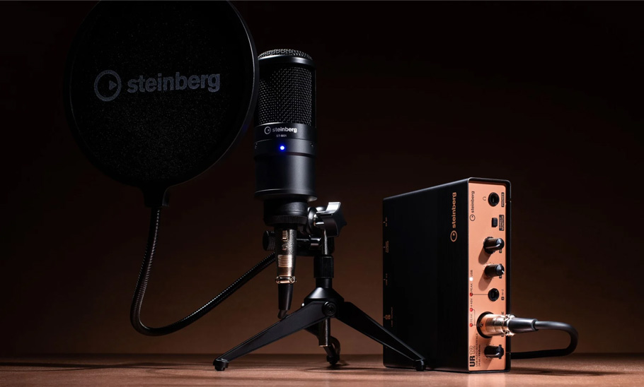 Steinberg UR12 کارت صدا