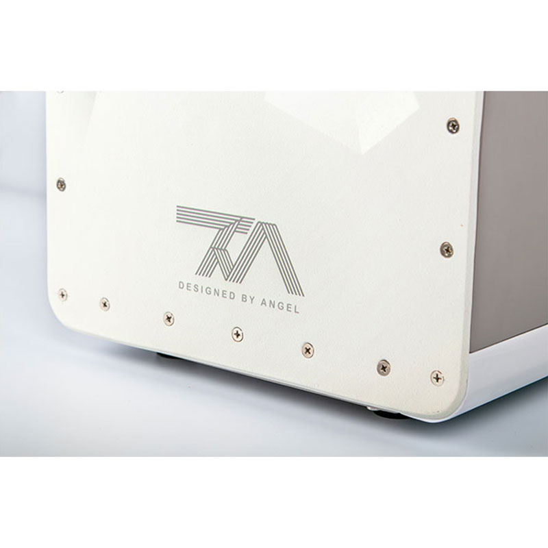 کاخن تی ام گروپ Tm Group Cajon 002