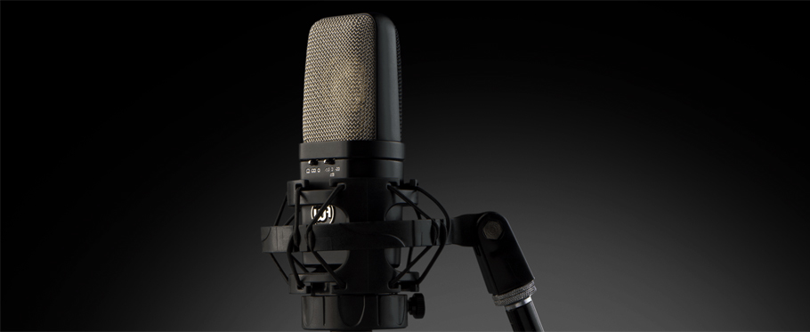 میکروفون Warm Audio WA-14
