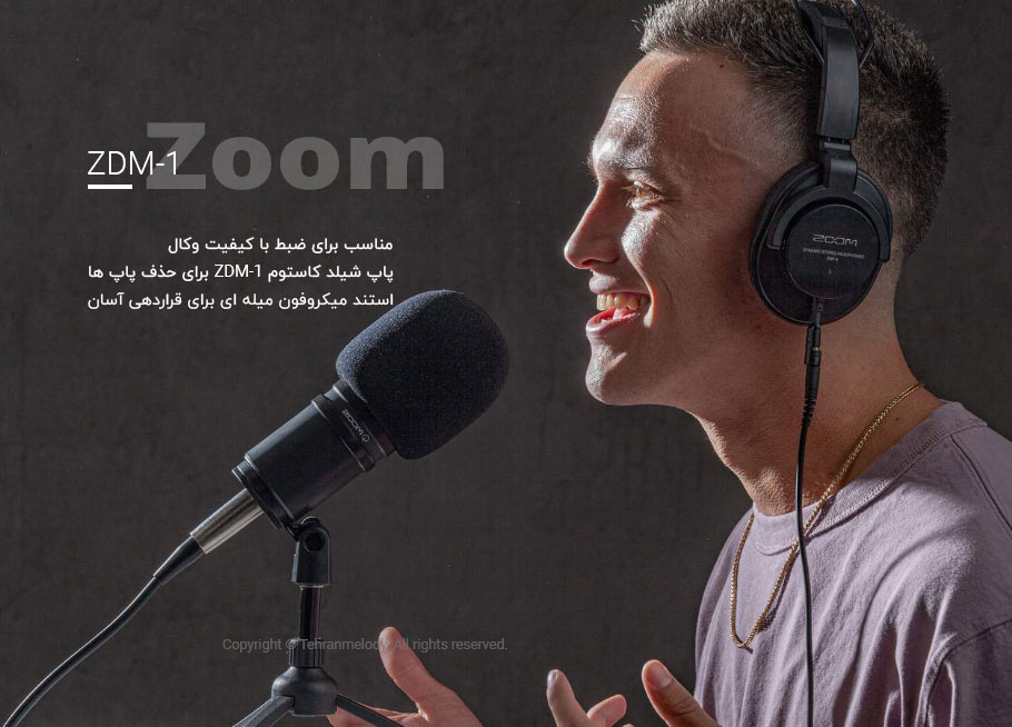 میکروفون داینامیک ZOOM ZDM-1